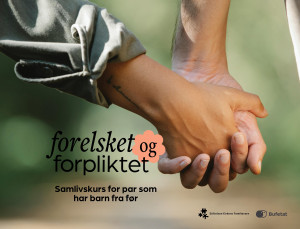 Par som har barn fra før: Forelsket og forpliktet -Kjærlighet i nyfamilien-